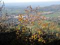 2007-10 Tubingen 036
